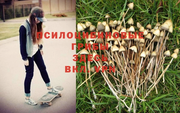 марихуана Белокуриха