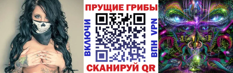 Псилоцибиновые грибы Psilocybe Пойковский