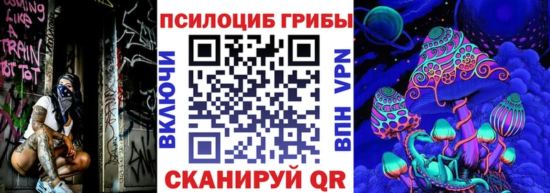 ОМГ ОМГ онион  Пойковский  Псилоцибиновые грибы мицелий 