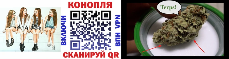 shop формула  Пойковский  Бошки марихуана гибрид 